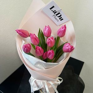 Hoa Tulip